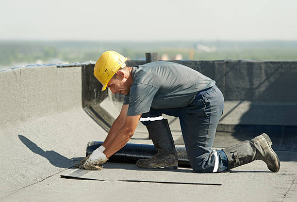 Best Commercial Insulation Contractor  in Byrdstown, TN
