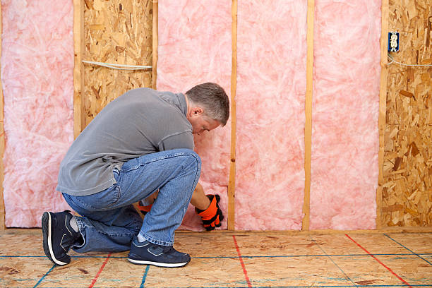 Best Insulation Replacement Services  in Byrdstown, TN